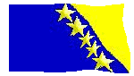 Na bosanskom jeziku